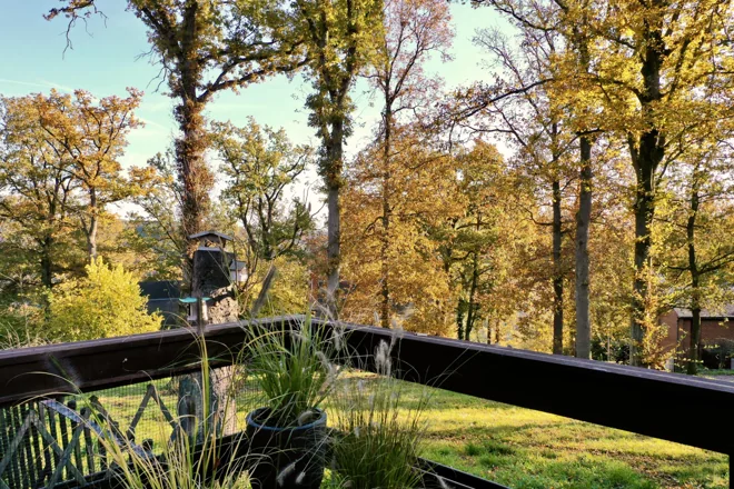 Bird House · La terrasse