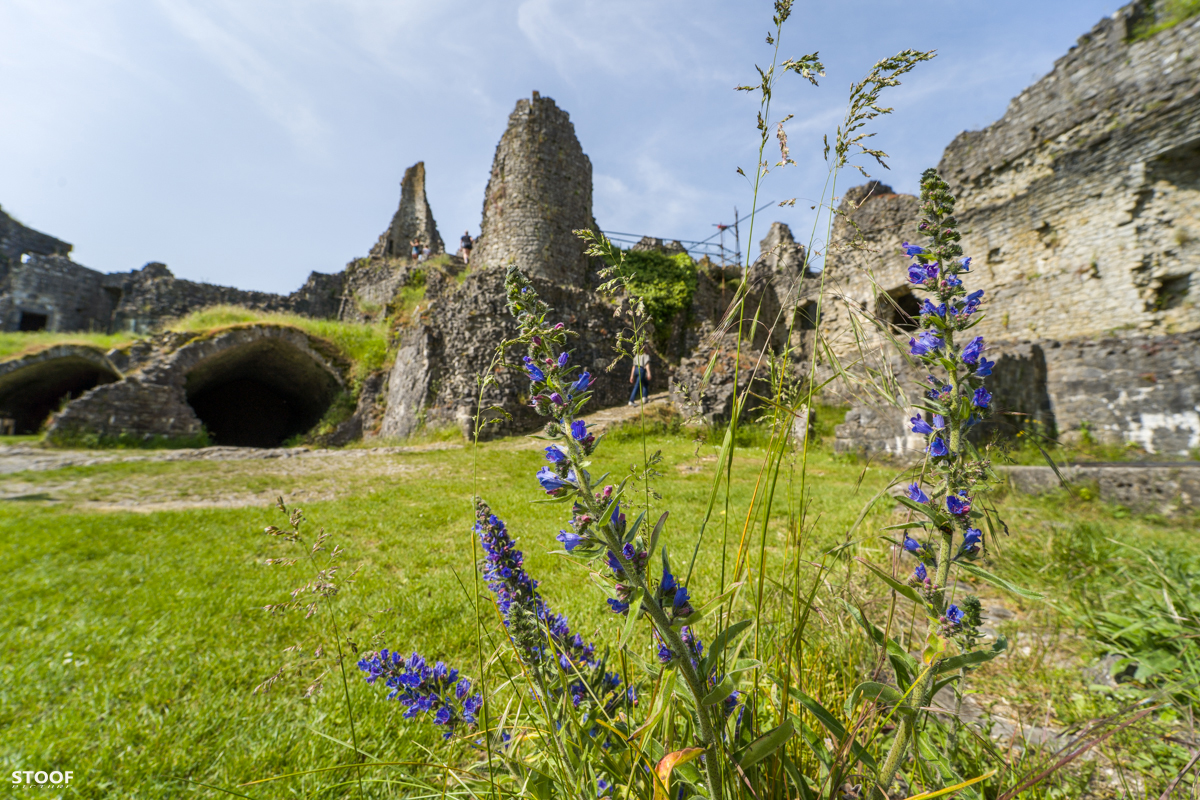 Montaigle proche du BOnsoy