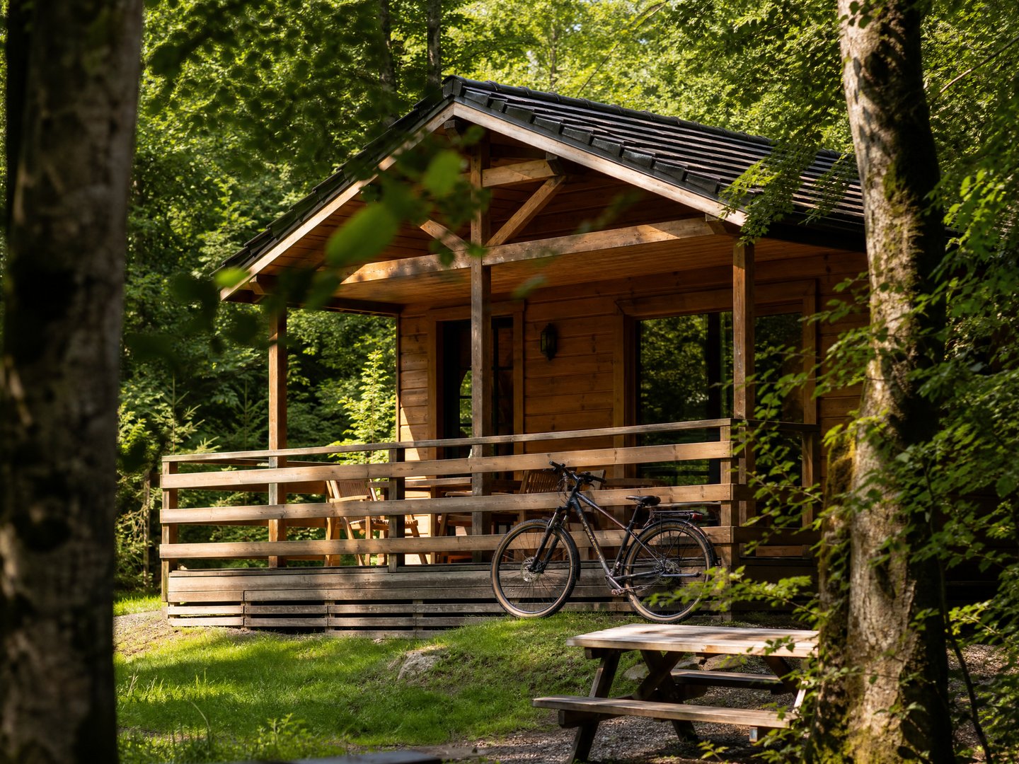 Bungalow en bois dans la forêt ardennaise avec un vélo appuyé contre la terrasse